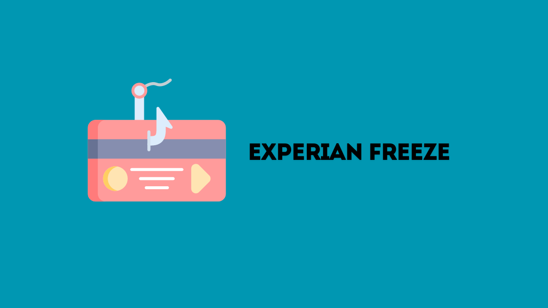 Experian Freeze