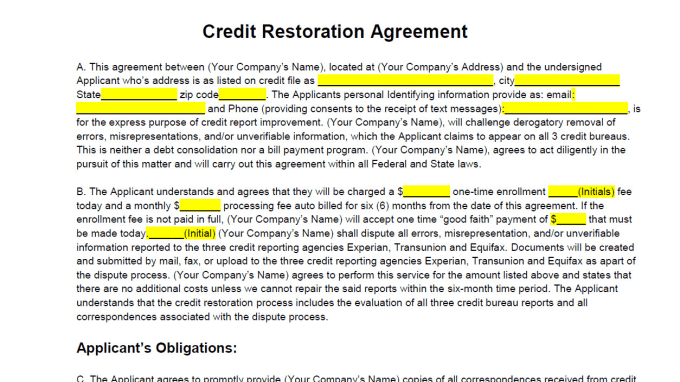 Credit Repair Contract form 